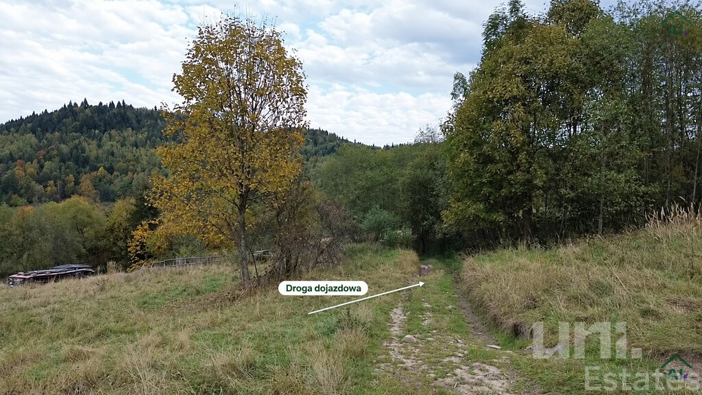 Działka Sprzedaż Zawoja Kalina Górna 9