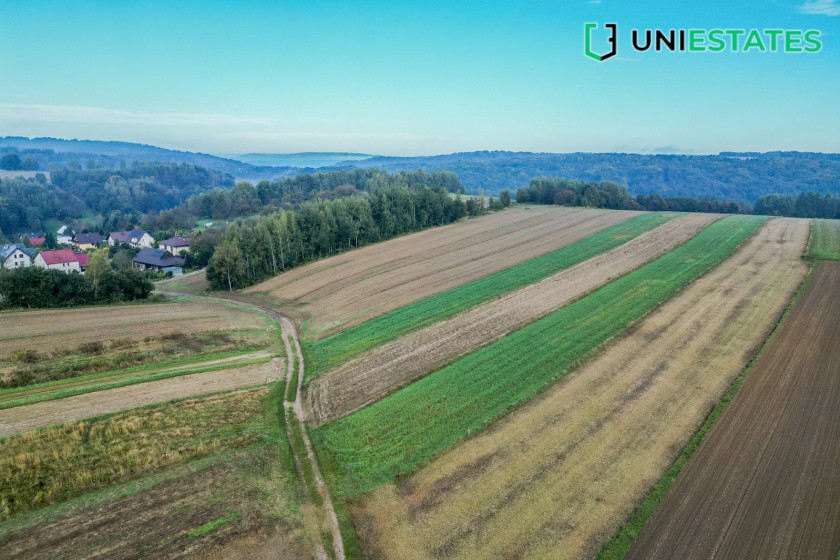 Działka Sprzedaż Czułów