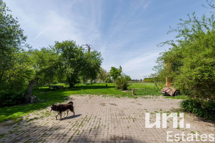 Dom Sprzedaż Wieszowa Moniuszki 18