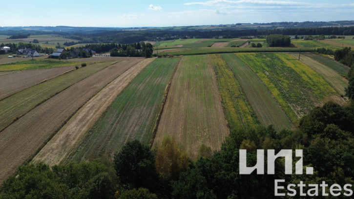 Działka Sprzedaż Lesieniec 6