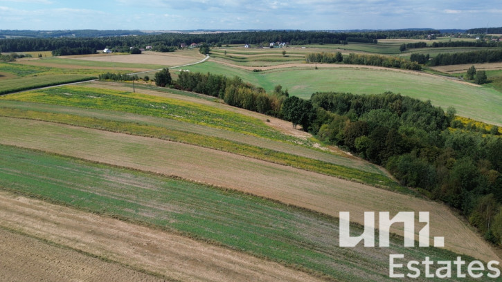 Działka Sprzedaż Lesieniec 5