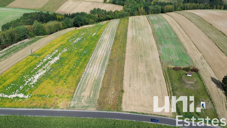 Działka Sprzedaż Lesieniec 2