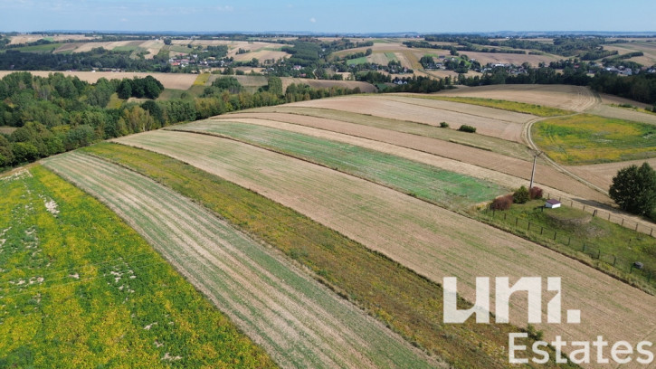 Działka Sprzedaż Lesieniec 3