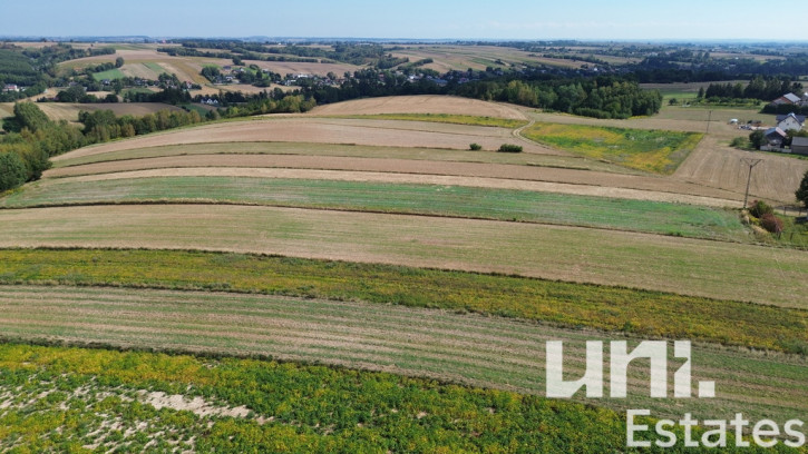 Działka Sprzedaż Lesieniec 4