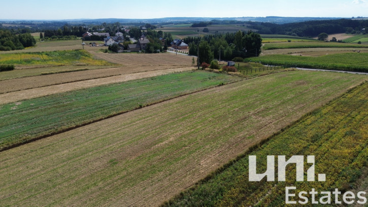 Działka Sprzedaż Lesieniec 8