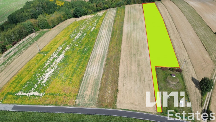 Działka Sprzedaż Lesieniec 1