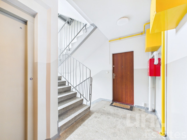 Mieszkanie Sprzedaż  Wirek Ignacego Paderewskiego 17