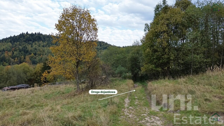 Działka Sprzedaż Zawoja Kalina Górna 9